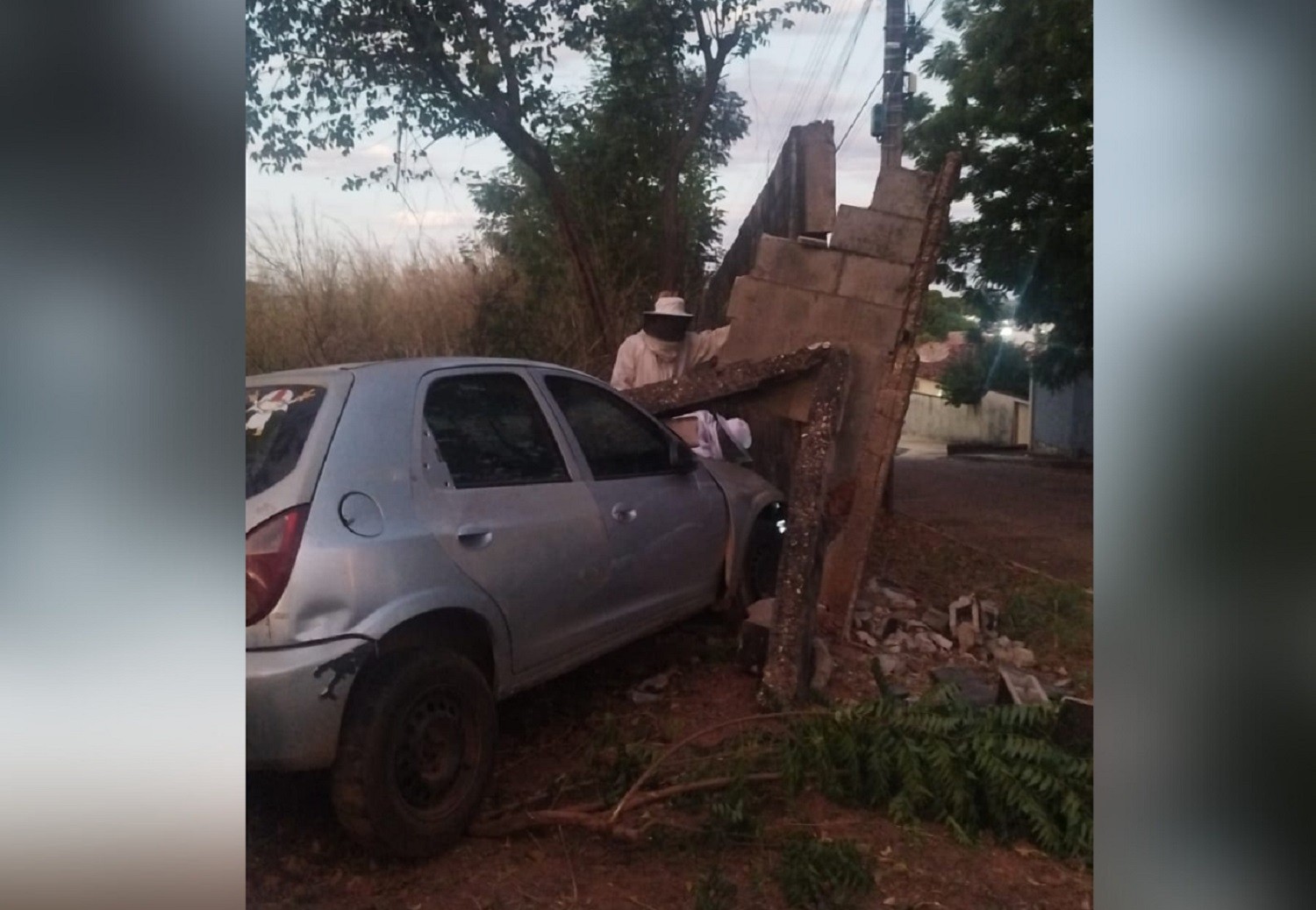 Motorista bate carro em muro após ser atacado por abelhas enquanto dirigia
