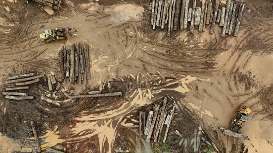 Madeireiros ilegais lucram com projetos de crédito de carbono na Amazônia - Investigação da Reuters descobriu que projetos de preservação ambiental no Brasil estão beneficiando pessoas e empresas que foram autuadas pelas autoridades brasileiras por destruírem a floresta tropical.