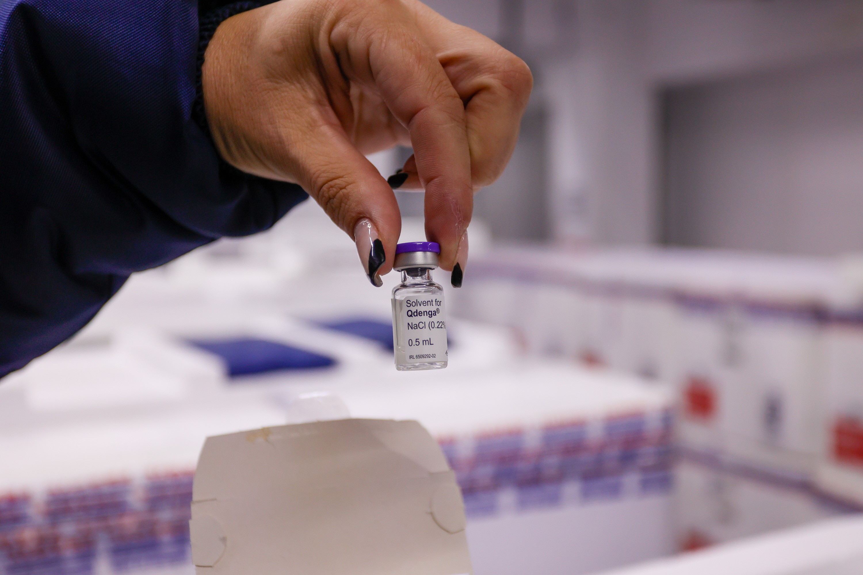 Londrina começa a vacinar crianças contra a dengue neste sábado (24); confira pontos de vacinação 