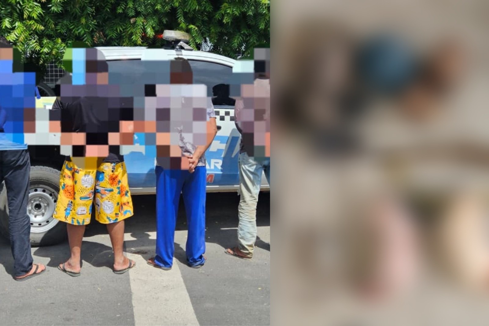 Caça ilegal: suspeitos de matar animais e manter ave em cativeiro são levados à delegacia no PI