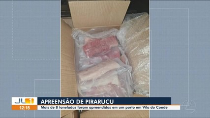 Mais de 8 toneladas de pirarucu são apreendidos em um porto em Vila do Conde, no Pará