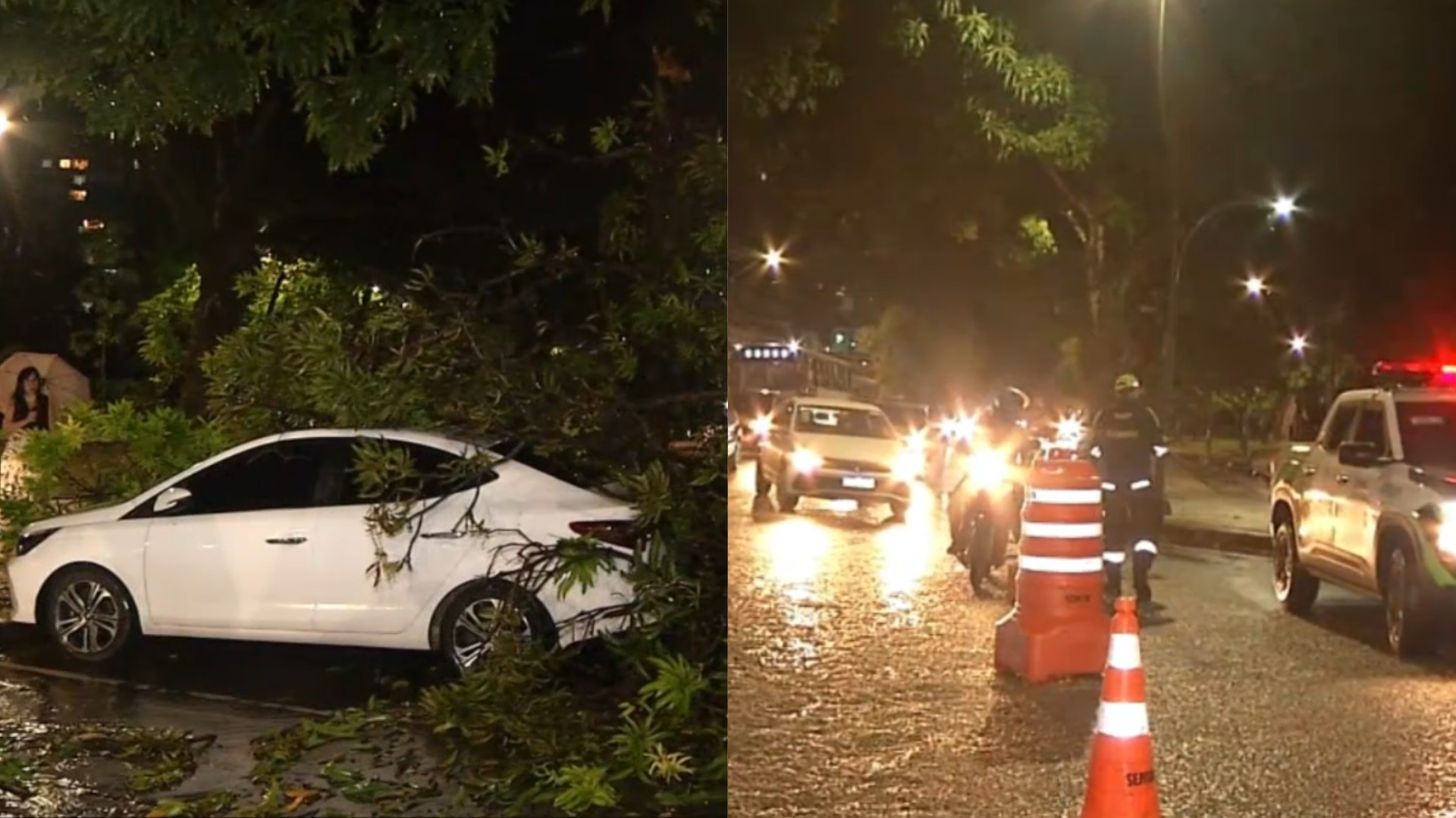 Mangueira cai em cima carro na praça da República, após forte chuva em Belém; VÍDEO