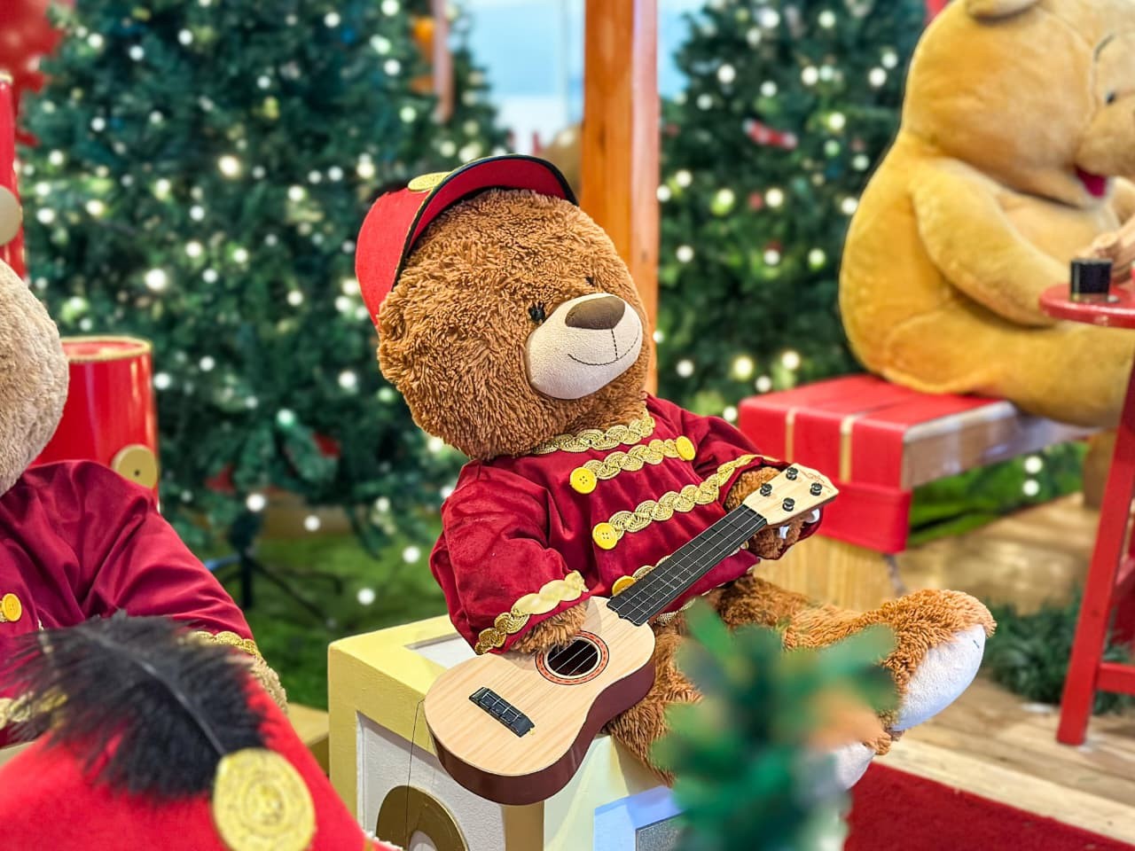 ONG realiza campanha para arrecadar brinquedos e guloseimas em Petrolina