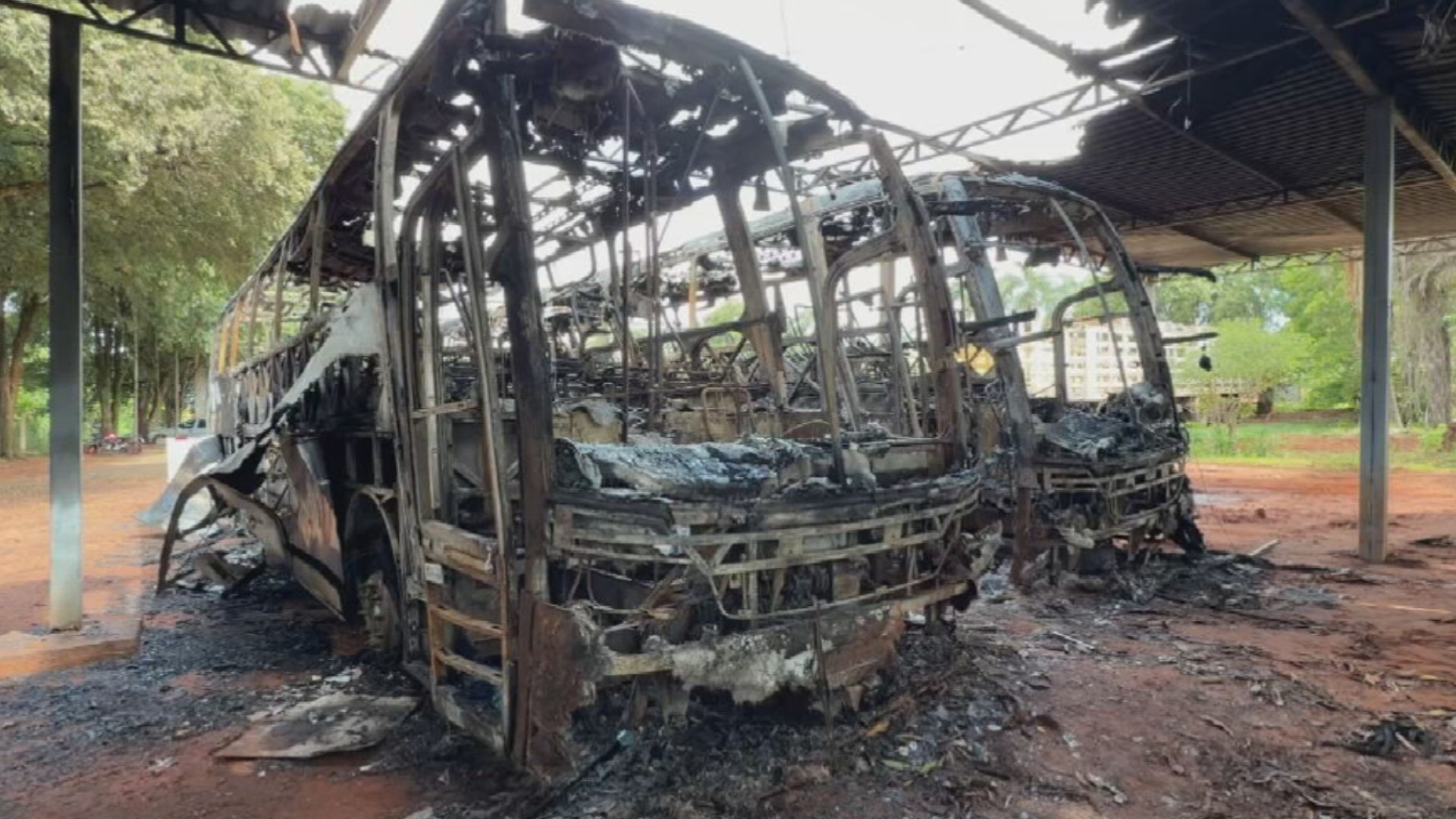 Polícia investiga incêndio criminoso de ônibus após câmera flagrar homem pulando portão com galão; vídeo 