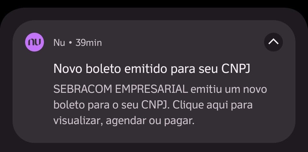 Boleto proposta recebido por micro e pequenos empreendedores — Foto: Arquivo pessoal