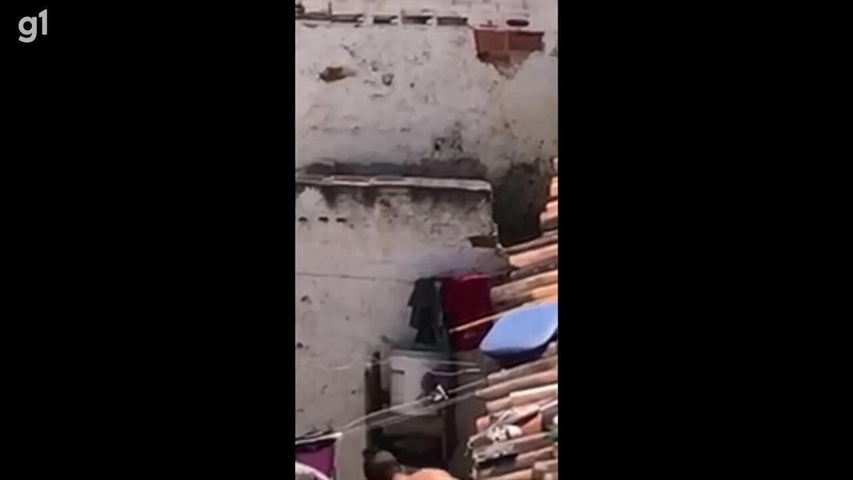 Homem é preso após agredir cachorro a pauladas em Caruaru; veja vídeo