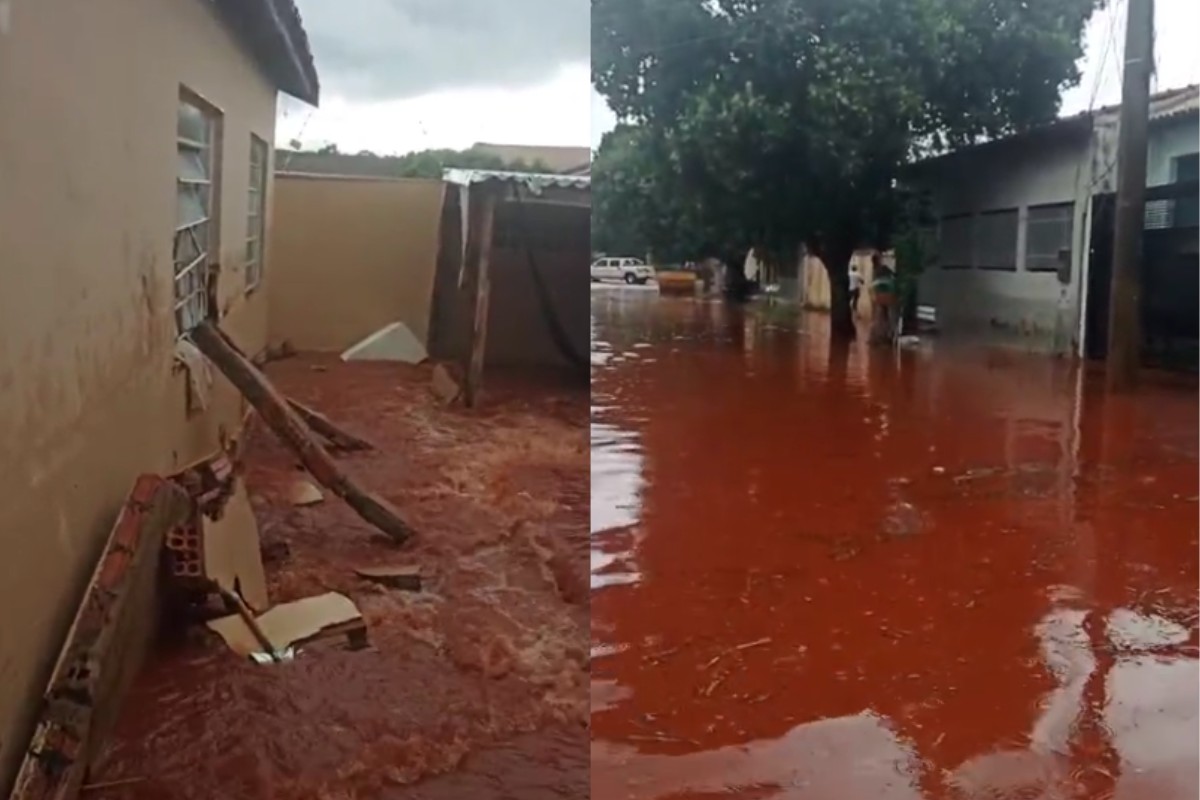 Cachorro morre afogado em alagamento durante chuva em Campo Grande