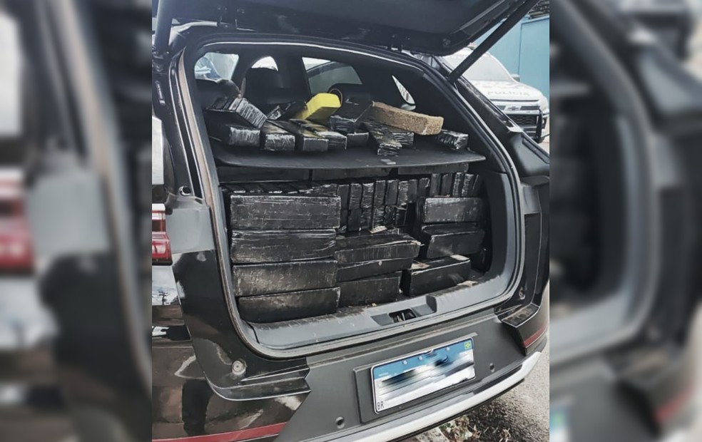 Jovem é preso transportando mais de 800 tijolos de maconha em Assis — Foto: Polícia Militar/Reprodução