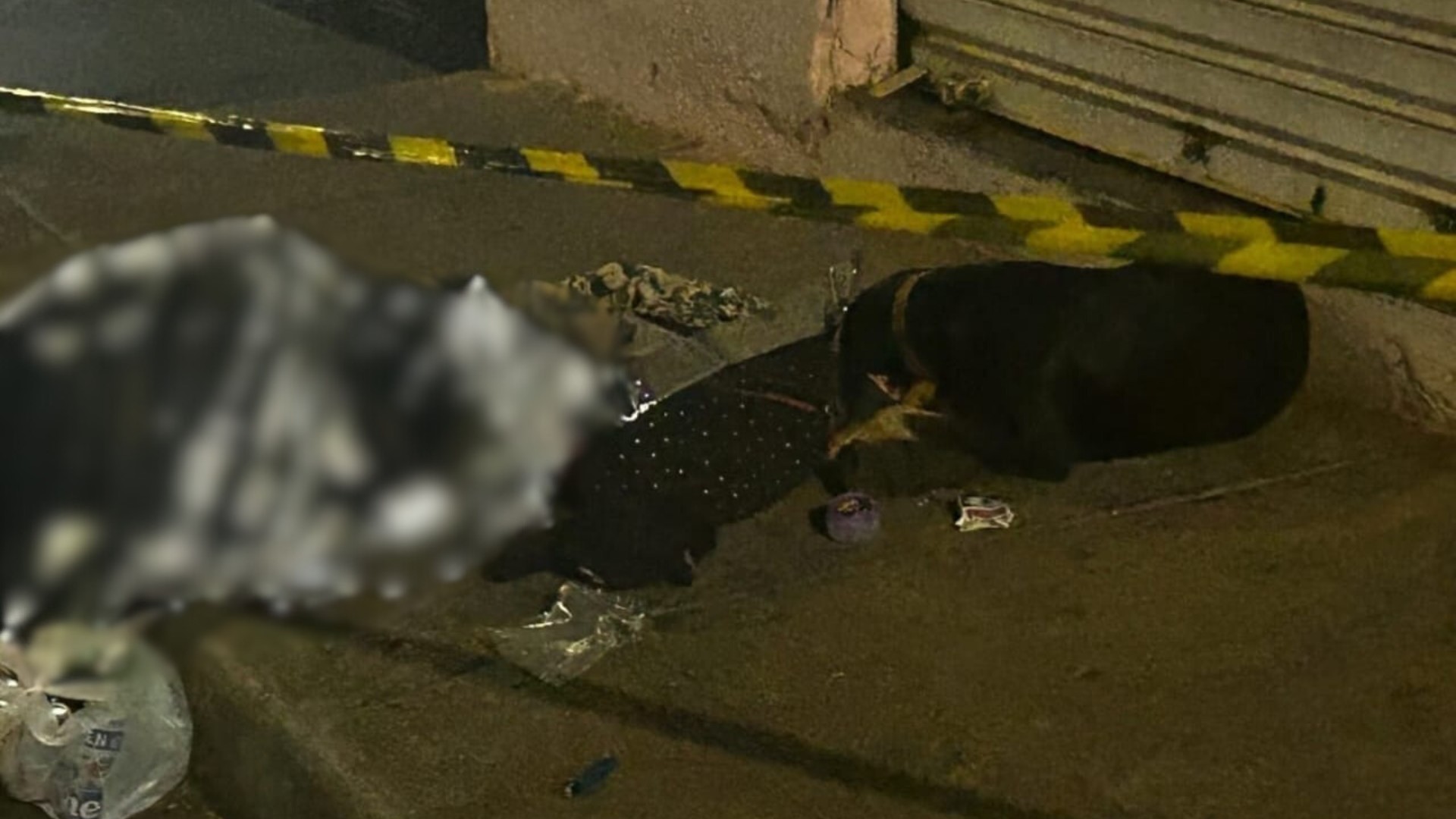 Cachorro fica ao lado de corpo de tutor morto a facadas em MG