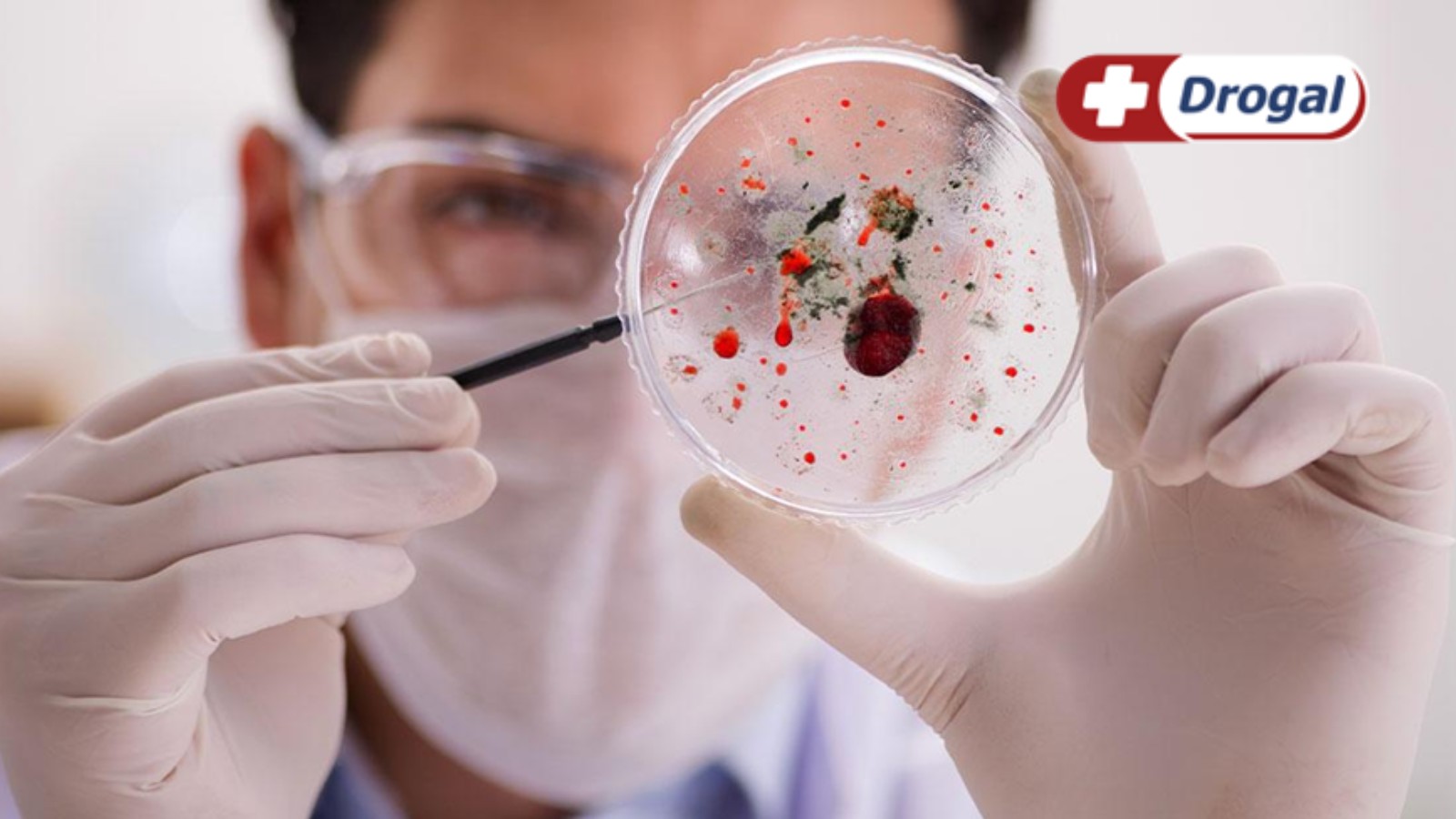 Vírus sincicial respiratório: sintomas, diagnóstico e tratamento