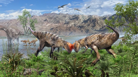 Cientistas descobrem na Mongólia fóssil do mais antigo dinossauro com 'capacete ósseo'; entenda - Animal viveu há 115 milhões de anos na região em que hoje é a Ásia Central. Fóssil pode esclarecer quando estruturas no crânio começaram a surgir nesses animais.