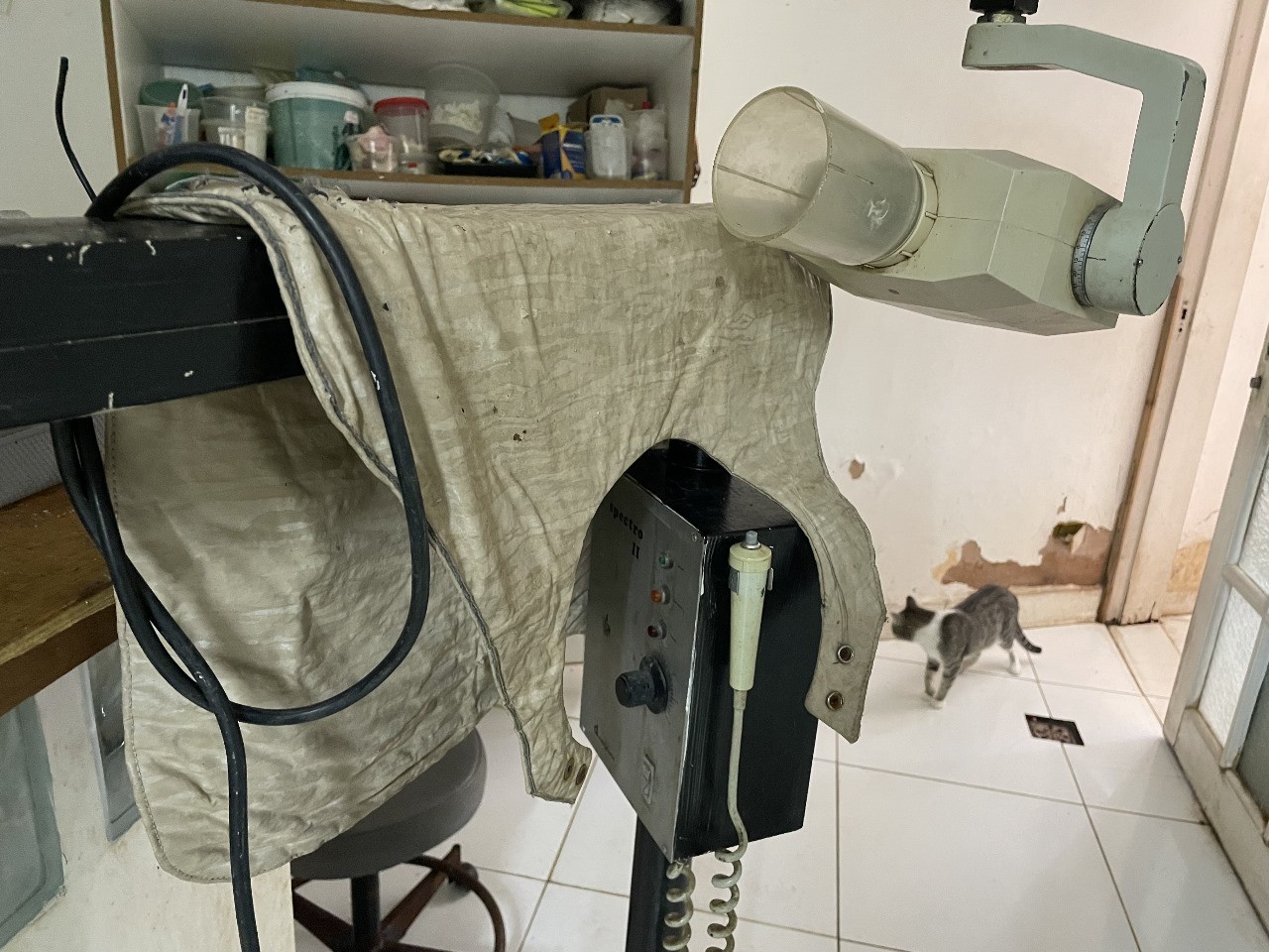 Clínica odontológica clandestina é interditada em Campinas; imóvel tinha dejetos de animais e utensílios sem esterilização
