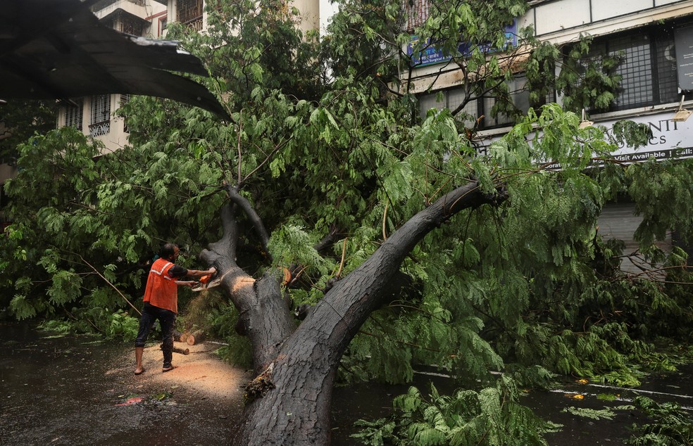Um trabalhador remove uma árvore caída após fortes chuvas em Mumbai , Índia. — Foto: Francis Mascarenhas / Reuters