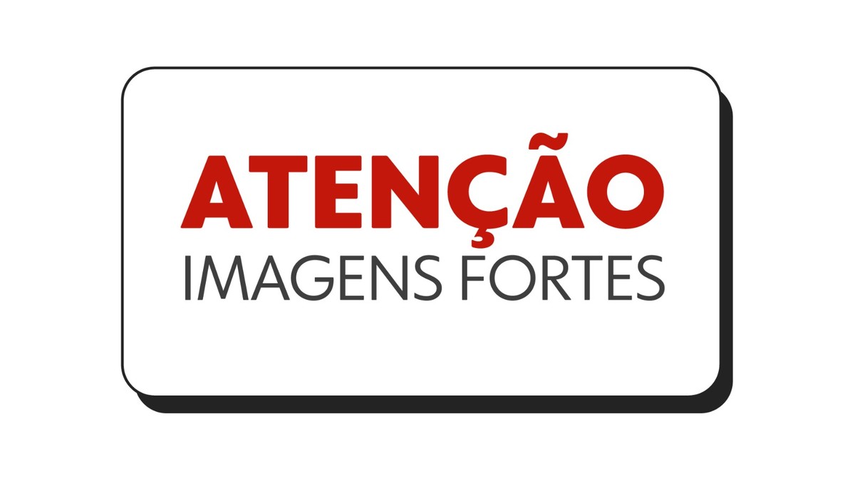 Polícia identifica proprietário dos 85 bezerros mortos e doentes encontrados em chácara abandonada de MS