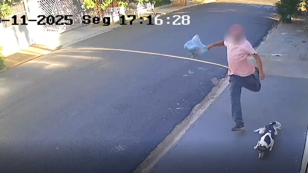 Homem é flagrado chutando cachorro em cidade do interior de SP — Foto: Reprodução/Câmera de Segurança