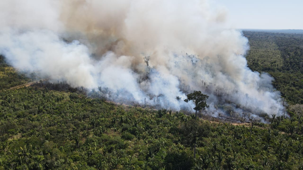 Em 15 dias, setembro tem 3 vezes mais focos de queimadas do que os 6 primeiros meses de 2024 em Rondônia