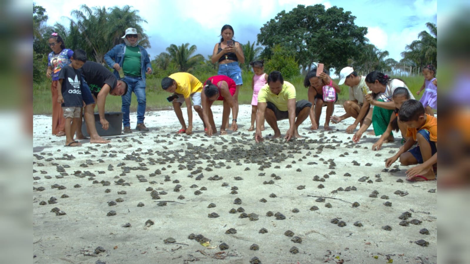 Lago Juruti Velho recebe 1.173 filhotes de tracajá durante soltura em comunidade