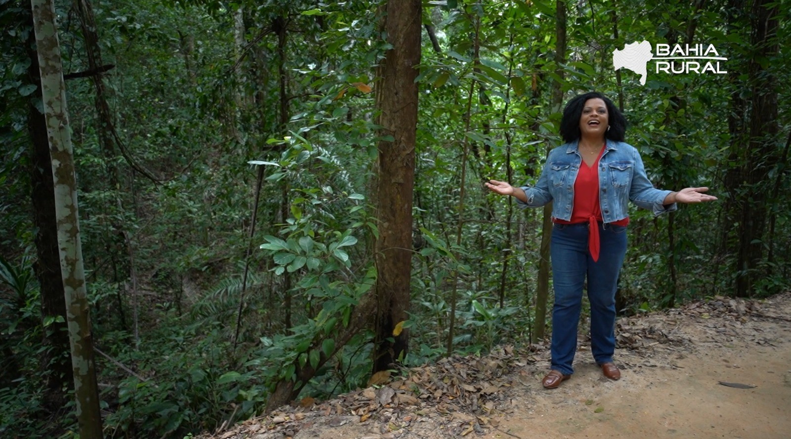 Vídeos da TV Bahia e g1 Bahia –domingo, 8 de fevereiro de 2026