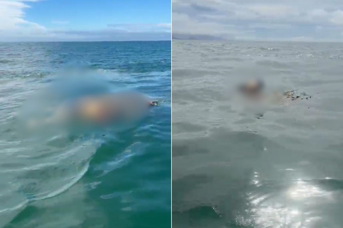 Pescador encontra corpo de mulher no mar de Itanhaém