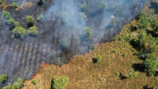 Desmatamento na Amazônia cai ao menor patamar da série histórica em 2025