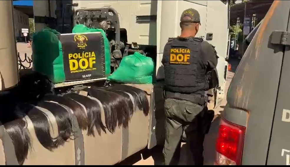 Mais de 100 kg de cabelo humano foram apreendidos pelo DOF. — Foto: Divulgação/DOF
