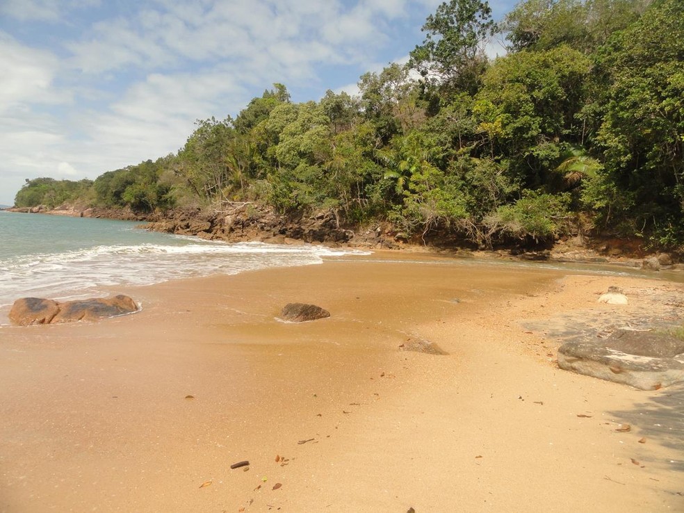 Praia da Caçandoquinha, em Ubatuba — Foto: Divulgação/Prefeitura de Ubatuba