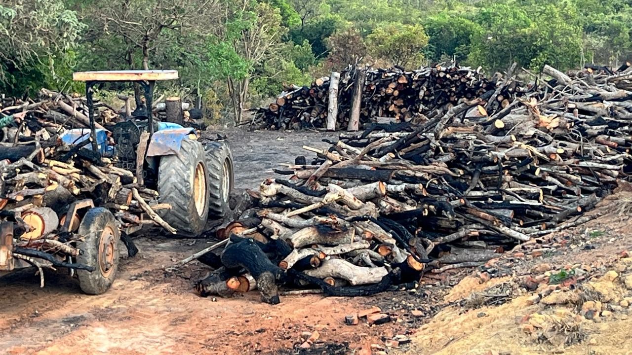 Operação de combate a crimes ambientais prende 11 pessoas no Vale do Jequitinhonha