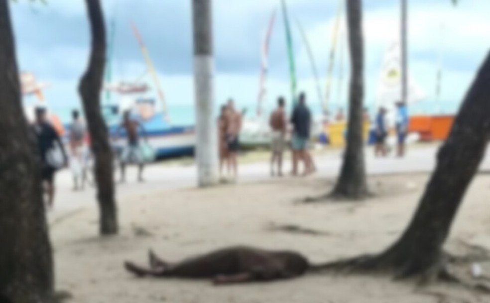 Pescador Eudes Estevam Nascimento Santos foi assassinado em região movimentada da orla no dia 28 de setembro deste ano — Foto: Reprodução/Redes sociais