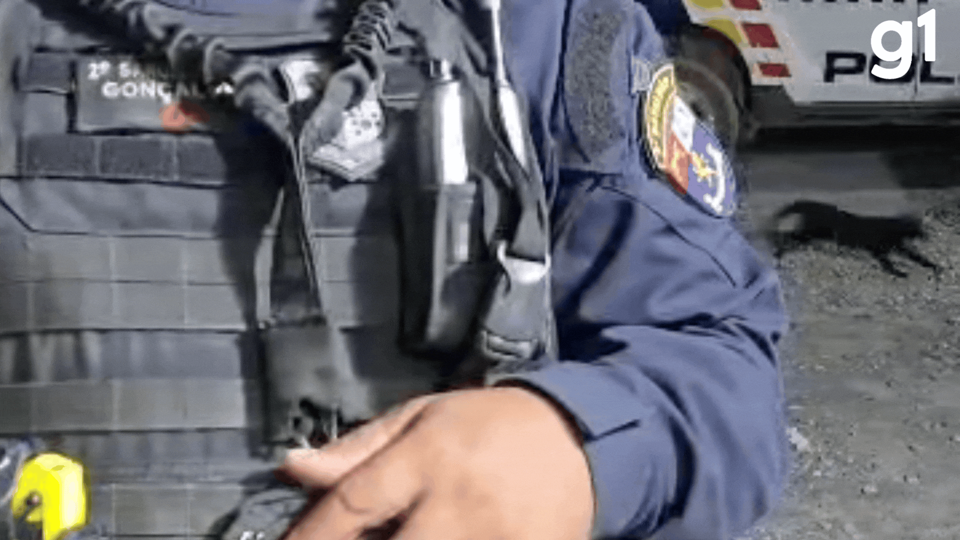 VÍDEO: Policial é interrompido por gatos que 'roubam' a cena durante gravação em delegacia de MT