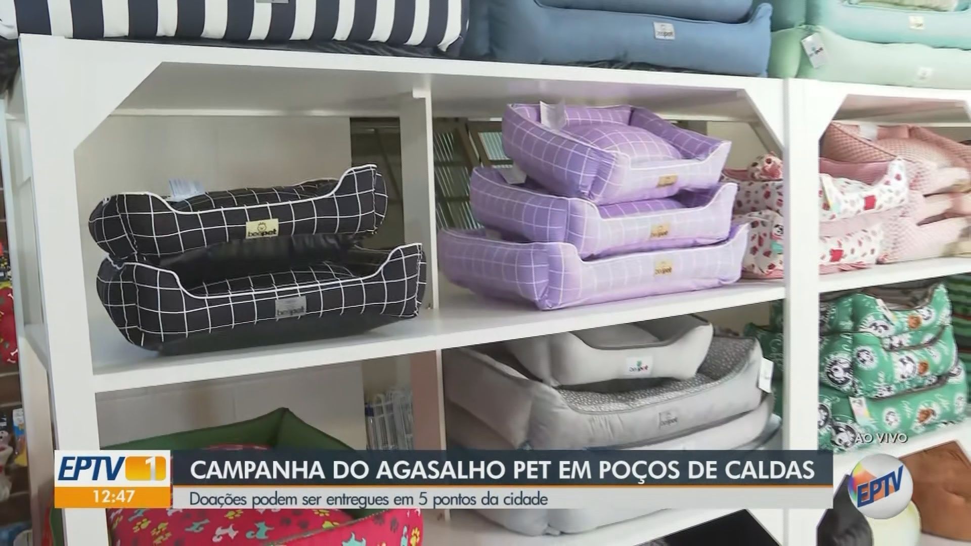 VÍDEOS: EPTV 1 Sul de Minas, de segunda-feira, 16 de junho de 2025