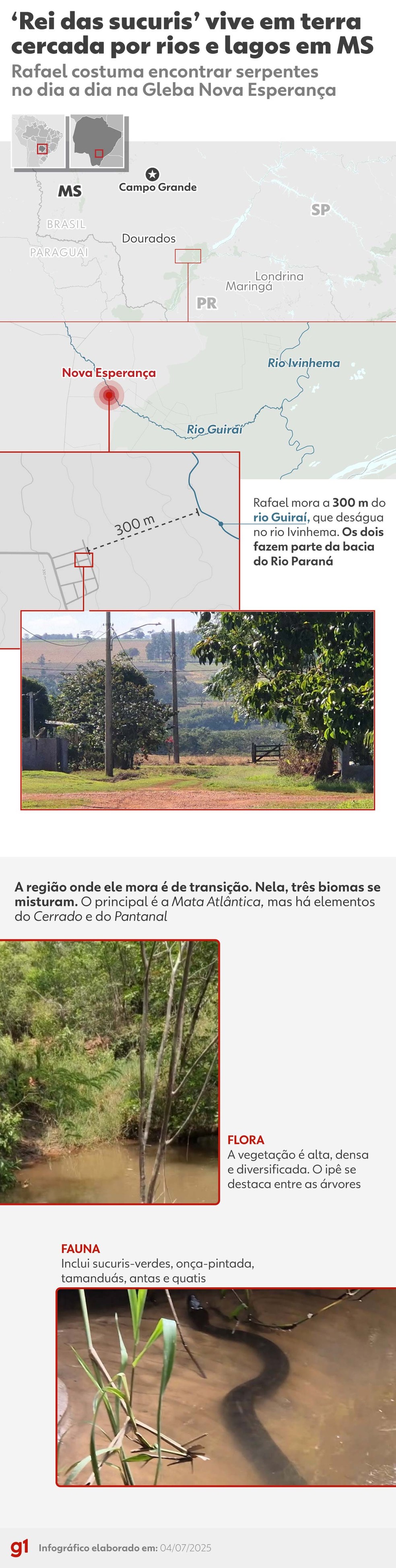 'Rei das Sucuris' vive na Gleba Nova Esperança | Foto: Arte g1