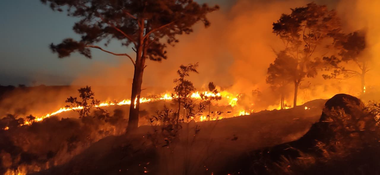 Incêndio de grandes proporções atinge área de 80 mil m² no Parque Itaim, em Taubaté
