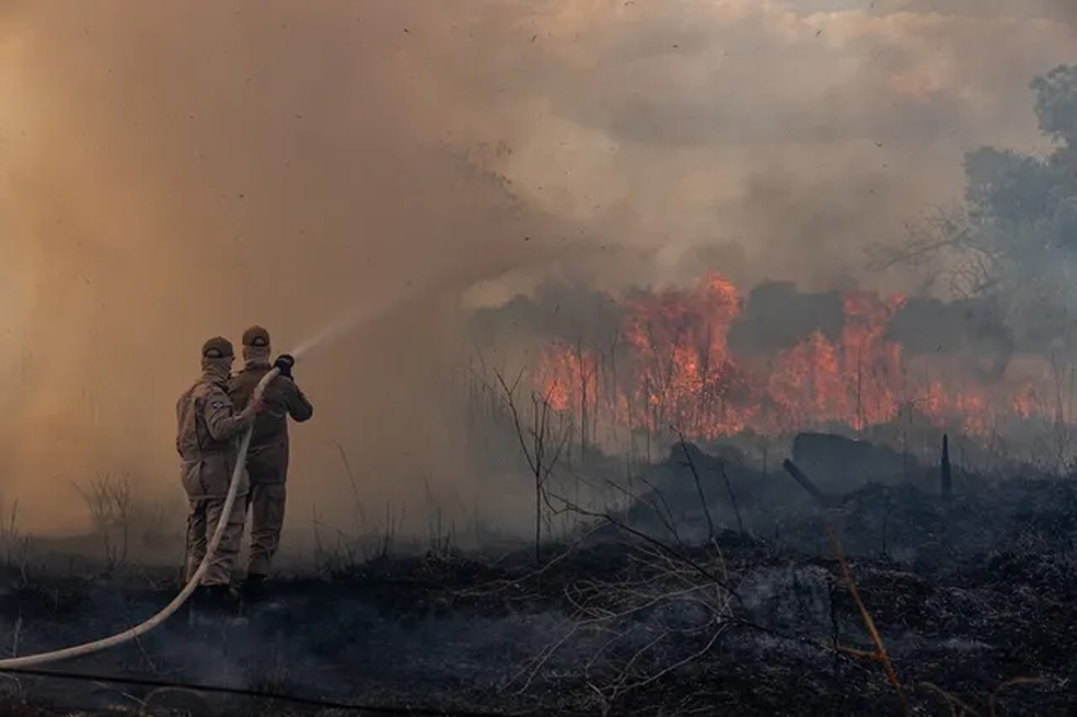 Mato Grosso é o estado com o maior número de focos de incêndio — Foto: Mayke Toscano/Secom-MT