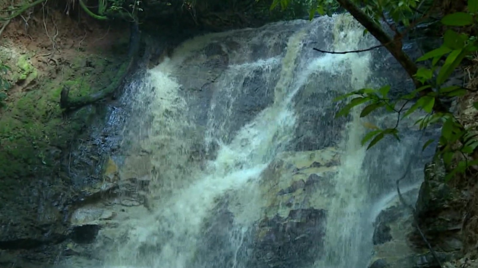 Empresa é multada em R$ 115 mil por descarte de óleo e graxa em córrego de Americana