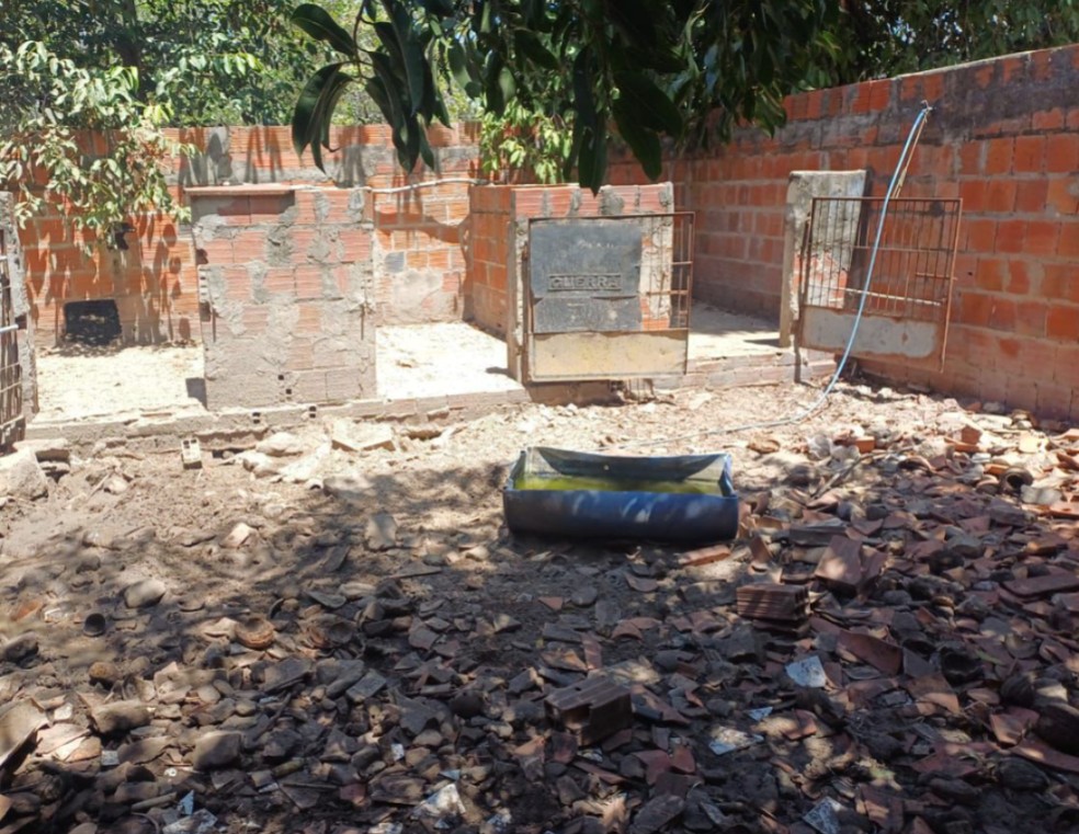 Polícia e órgãos ambientais resgatam 48 animais silvestres e desmontam criatório irregular que vendia carne para restaurante no Piauí — Foto: Reprodução
