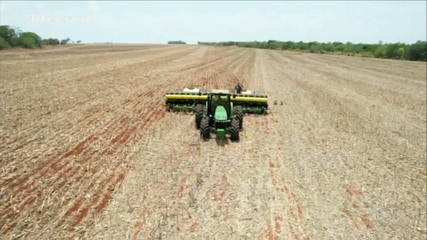 Governo prevê uma produção de 4,4 milhões de toneladas de soja na safra 2024/2025