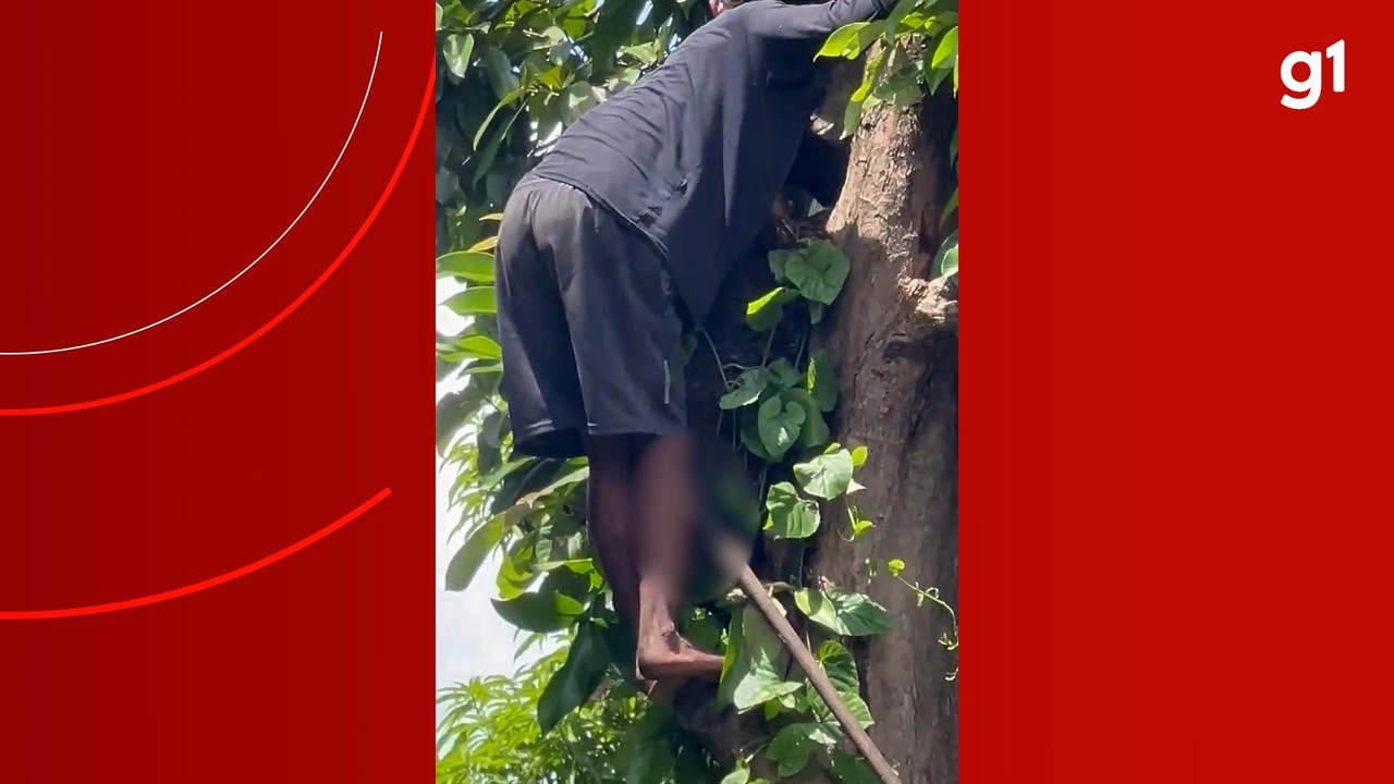 VÍDEO: Adolescente é resgatado em árvore com zagaia cravada na perna no interior do AM