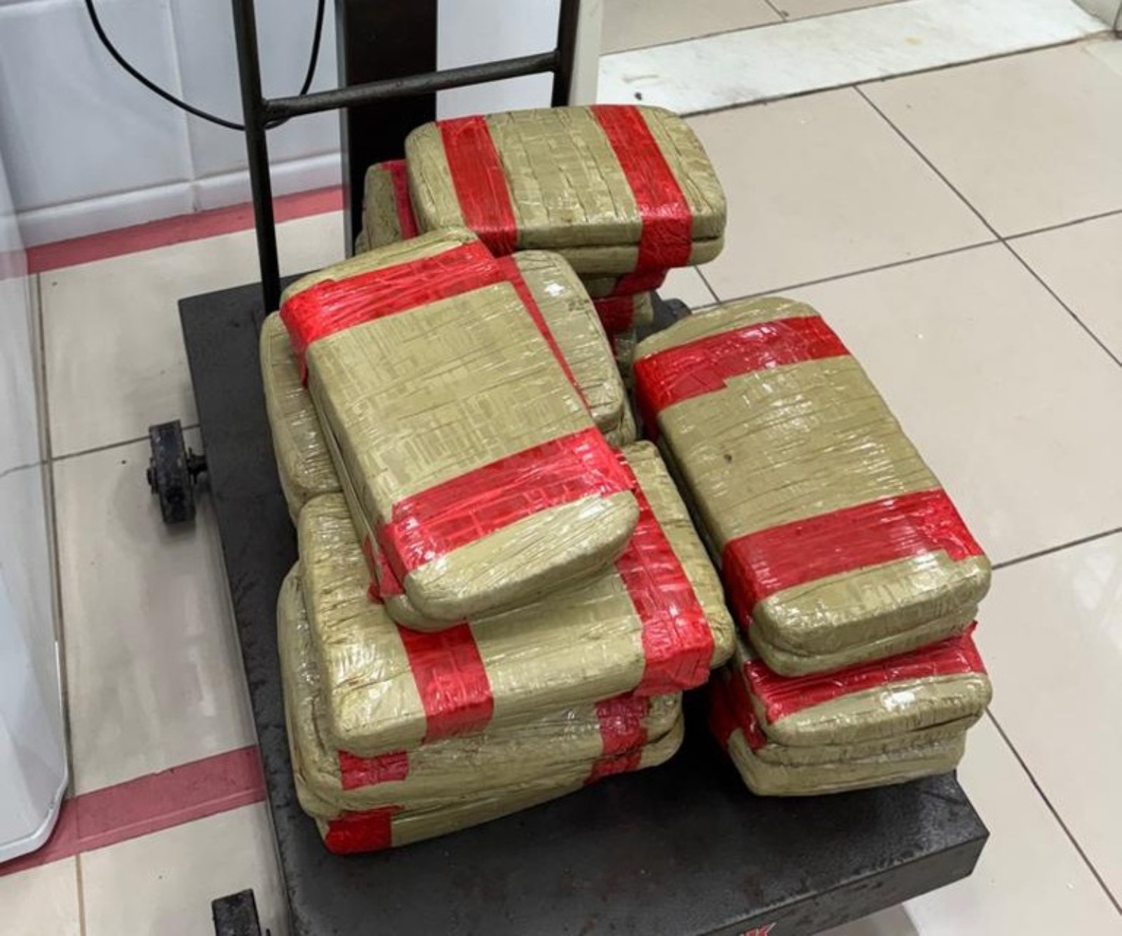 Mulher é presa com 32 kg da droga skunk ao desembarcar no Aeroporto de Fortaleza