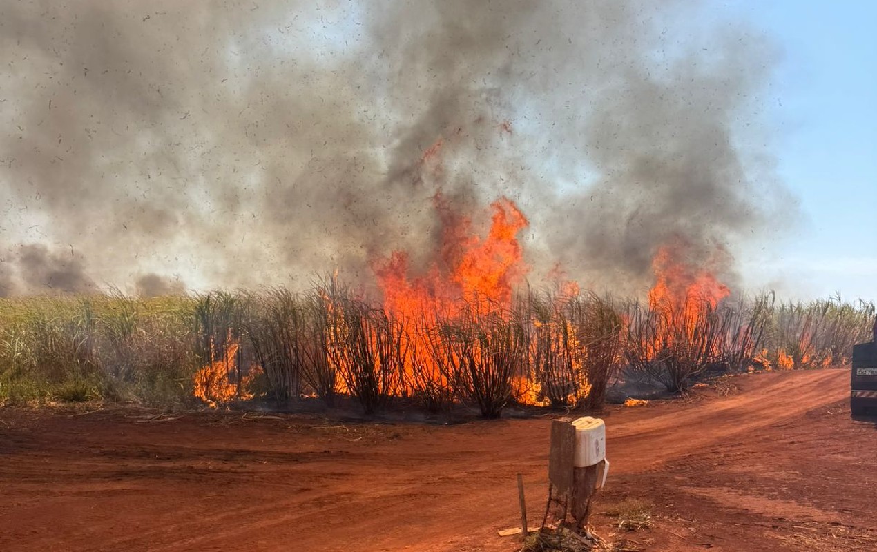 Incêndios no centro-oeste paulista atingem canaviais, vegetação nativa e áreas próximas a casas