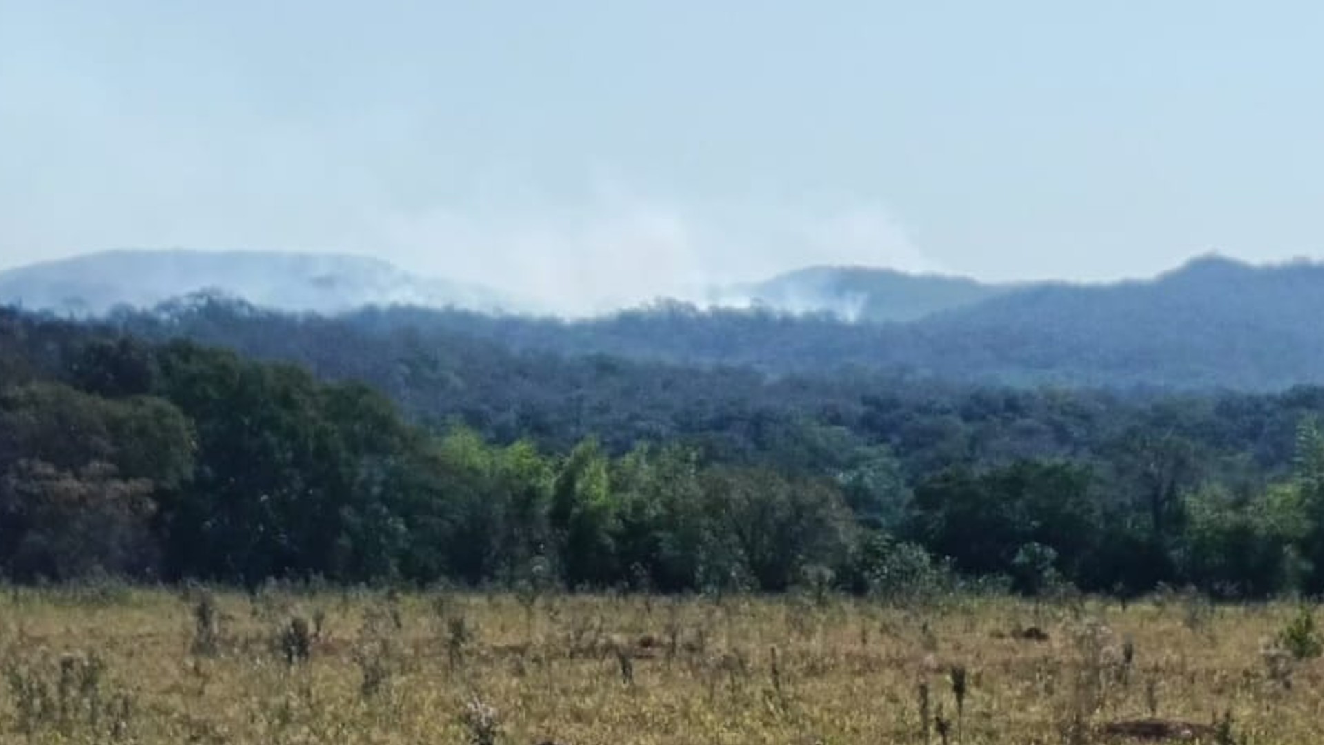 Bombeiros combatem incêndio florestal próximo à rodovia com acesso a Bonito (MS); veja vídeo