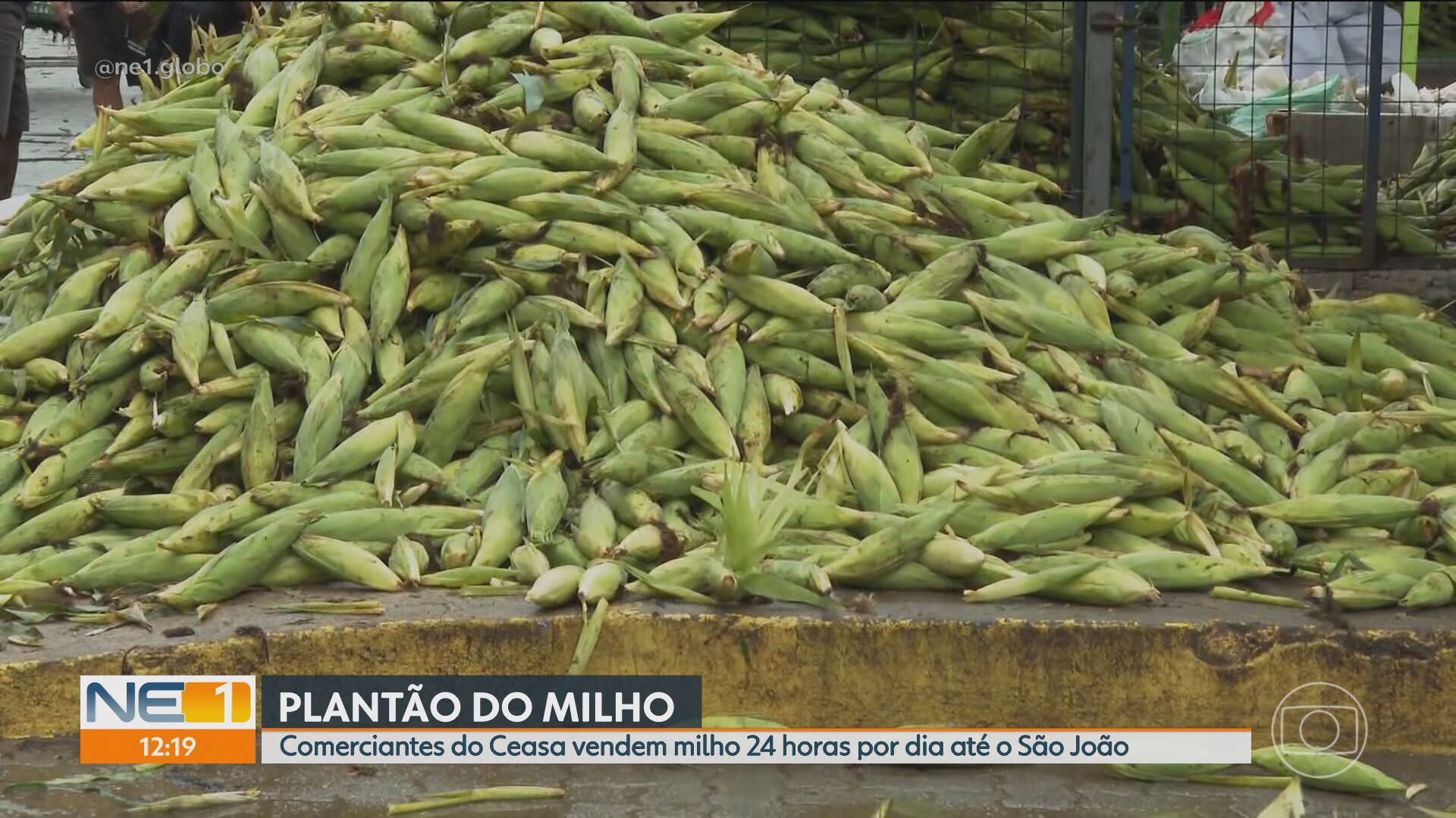 VÍDEOS: NE1 de sábado, 14 de junho de 2025