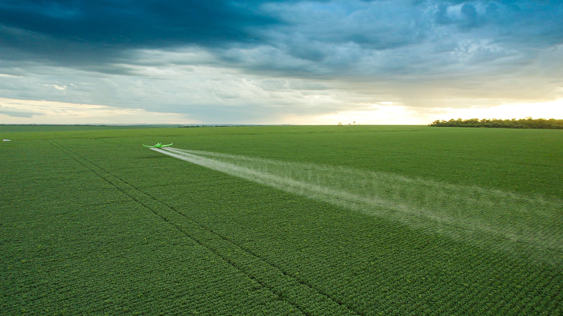 Por que recuperações judiciais dispararam no agro? Entenda o que está por trás da crise