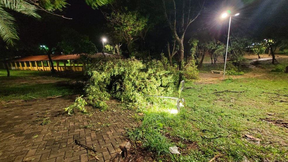 Estragos provocados pelo temporal na Praça das Andorinhas, na Cohab, em Presidente Prudente (SP) — Foto: Marcos Tadeu/TV Fronteira