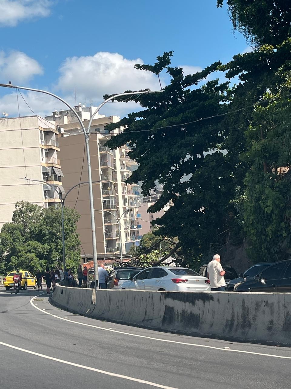 Queda de uma árvore interdita a autoestrada Grajaú-Jacarepaguá