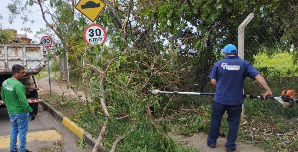 Equipes trabalham para consertar estragos causados por temporal em Presidente Prudente (SP) — Foto: Cedida/Secom