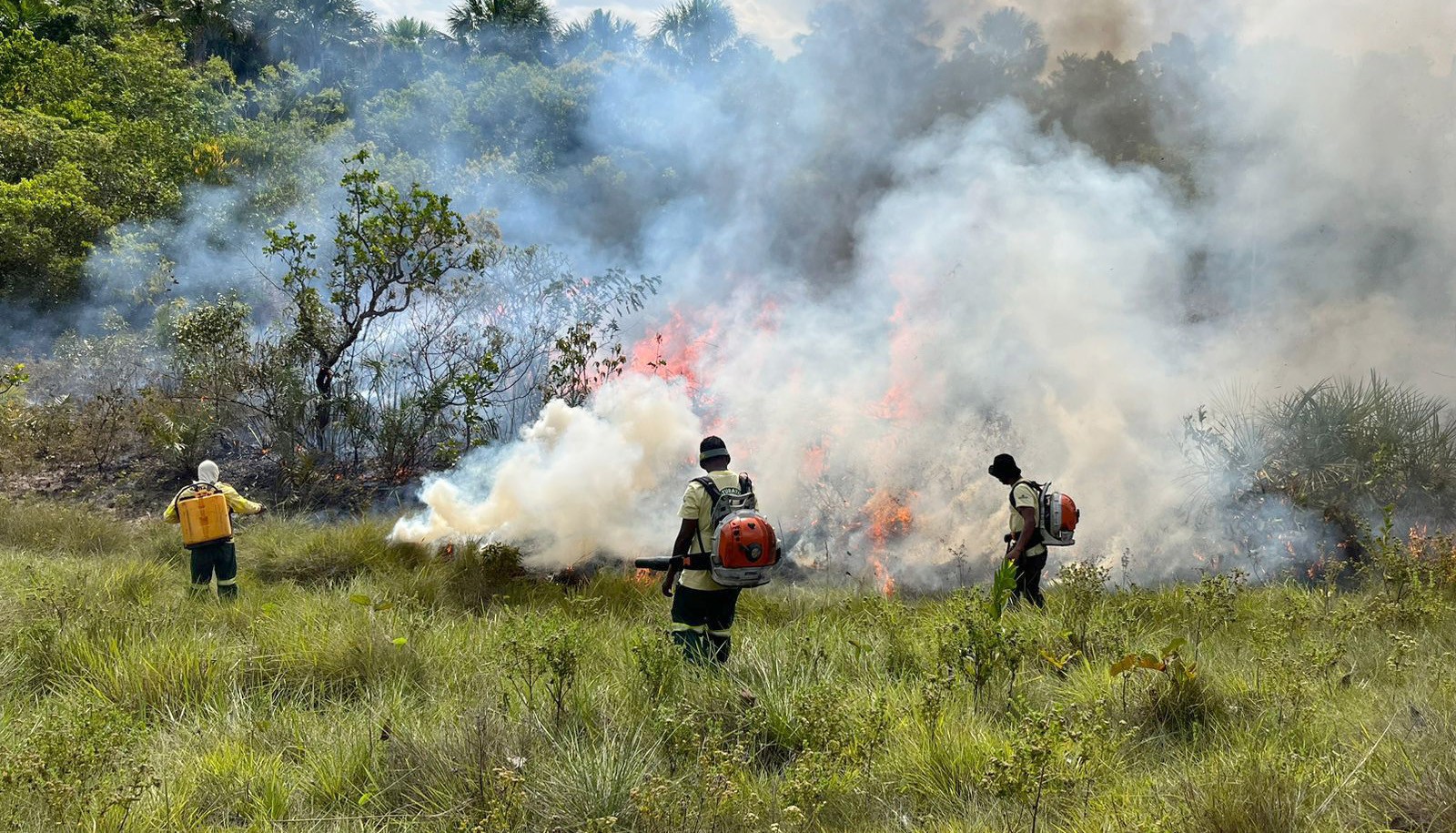 Dunas do Jalapão terão visitação suspensa durante ação preventiva contra incêndios florestais; confira