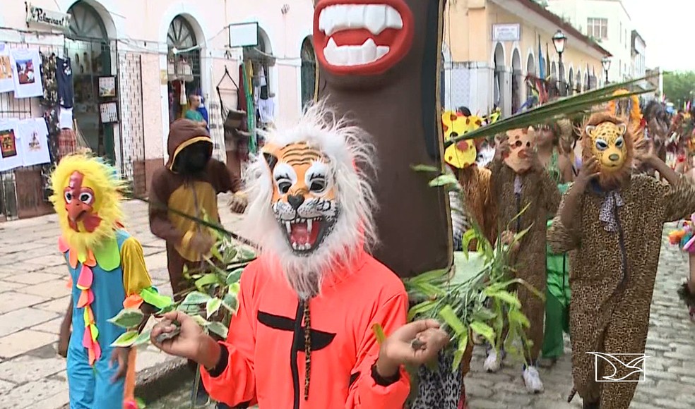 Animais da floresta, como a onça e o macaco, fazem parte de blocos de tribos de índio que desfilam pelo Centro Histórico de São Luís — Foto: Reprodução/TV Mirante