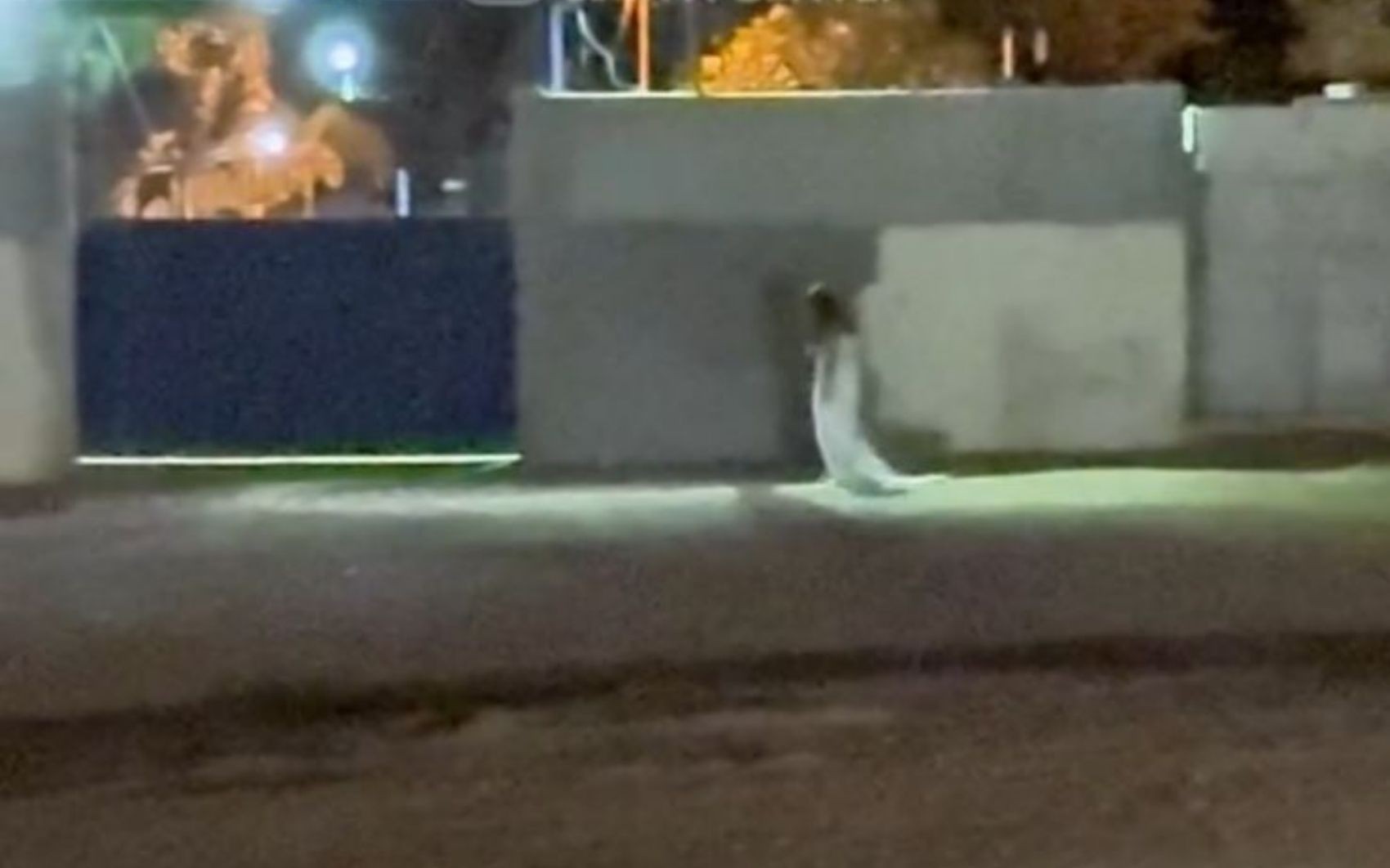 Vídeo de mulher vestida de noiva em frente a cemitério intriga internautas: ‘Fantasma não é, porque tem sombra’