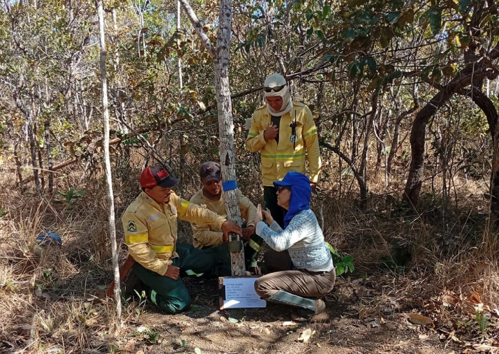 Guardas-parques instalam câmeras de monitoramento no Parque Estadual do Lajeado — Foto: Naturatins/Governo do Tocantins