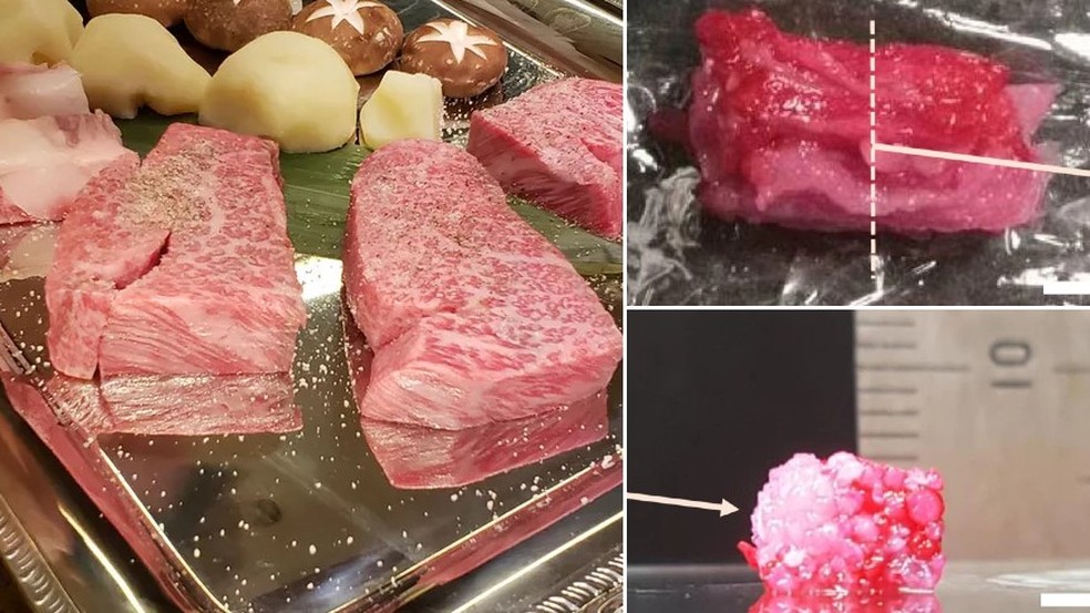 À esquerda, foto de carne wagyu real; à direita, imagens de carne artificial criada em impressora 3D — Foto: Rafael Miotto/G1; Reprodução/Universidade de Osaka